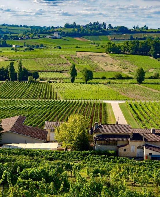 Chateau La Clariere Saint-Magne-de-Castillon Exterior foto